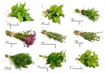 Herbs